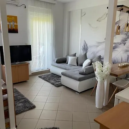 Apartment Lukic